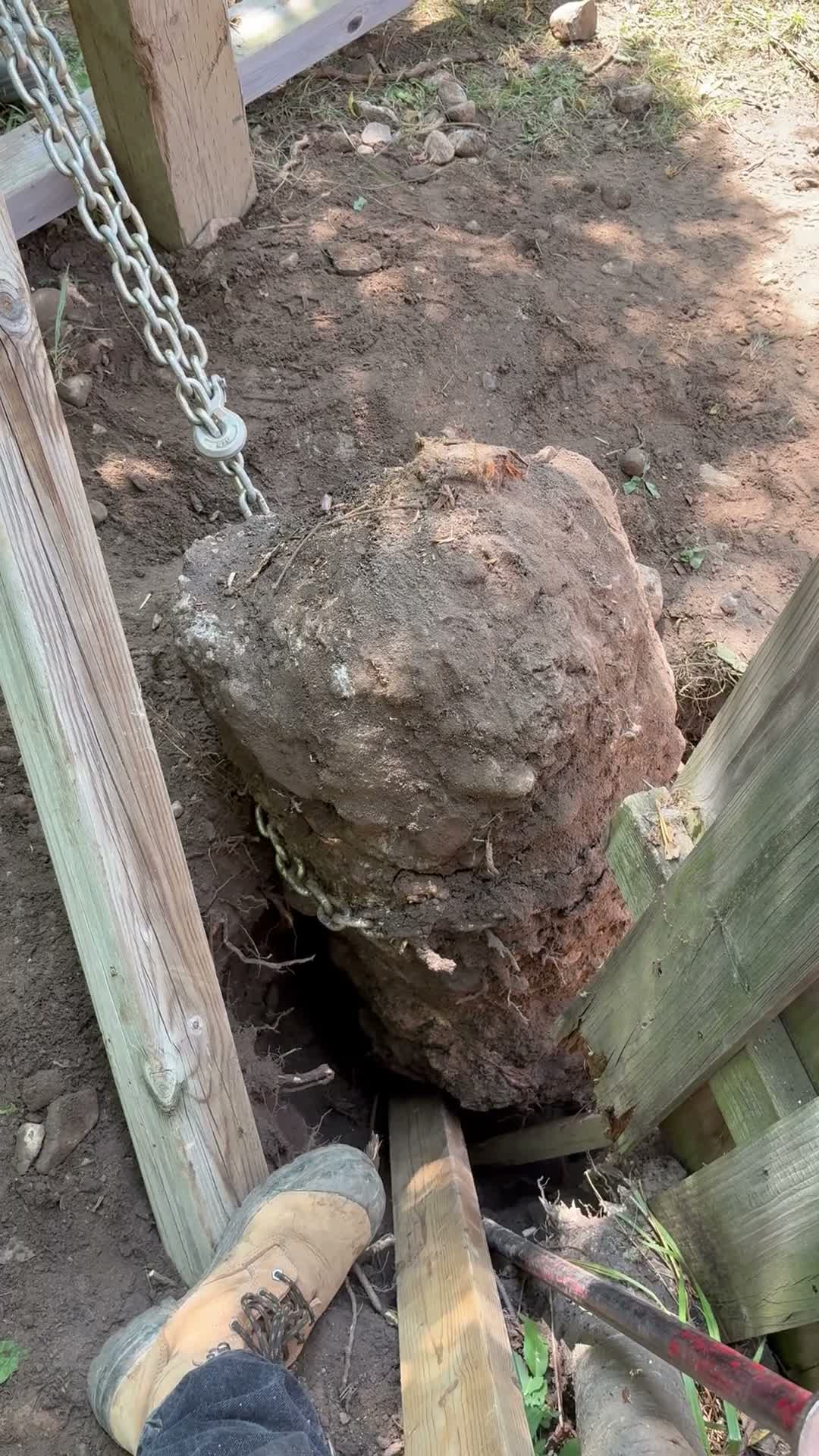 Concrete fence post footing being hauled out of the ground with a chain